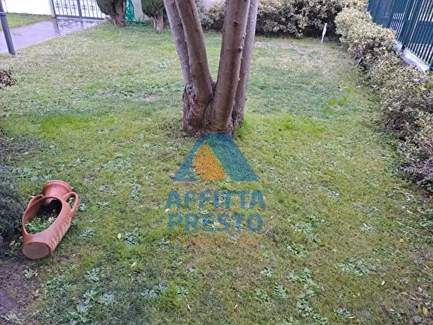 Immagine 21 di Casa semindipendente in affitto  a Empoli