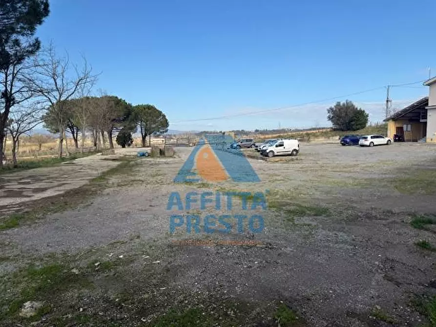 Immagine 3 di Capannone industriale in affitto  a San Miniato