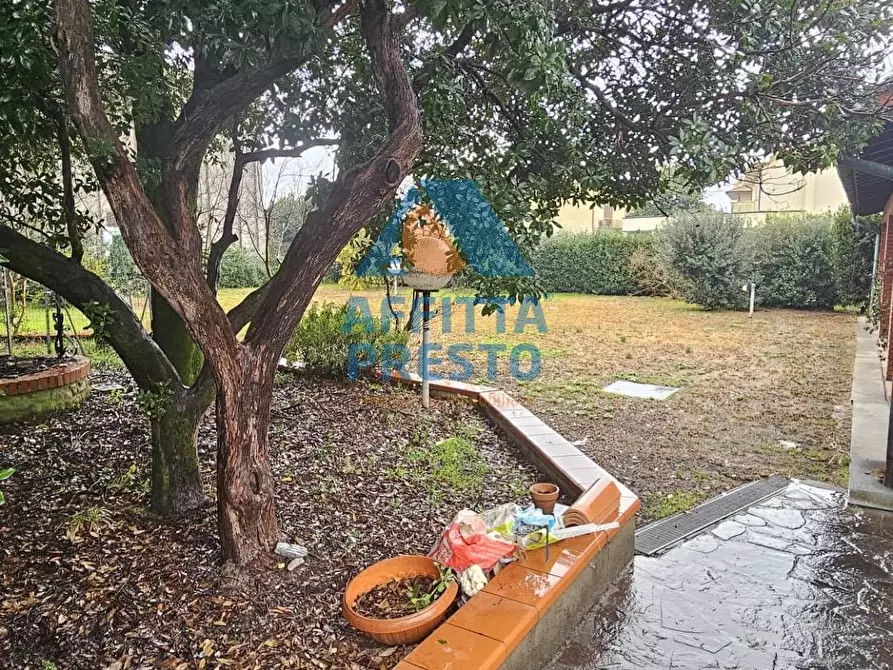 Immagine 3 di Appartamento in affitto  a Montecatini Terme