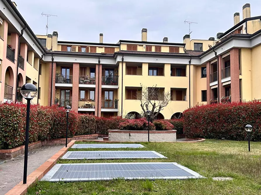 Immagine 23 di Appartamento in affitto  a Busto Arsizio