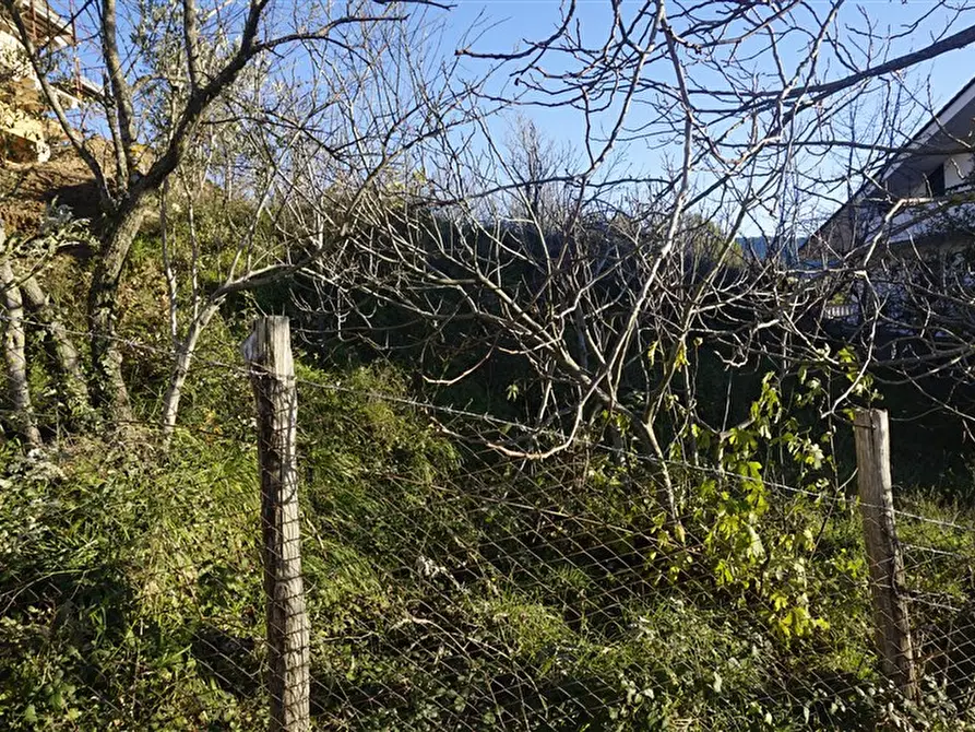 Immagine 9 di Terreno residenziale in vendita  in via Donato  Bendicenti a Casali Del Manco