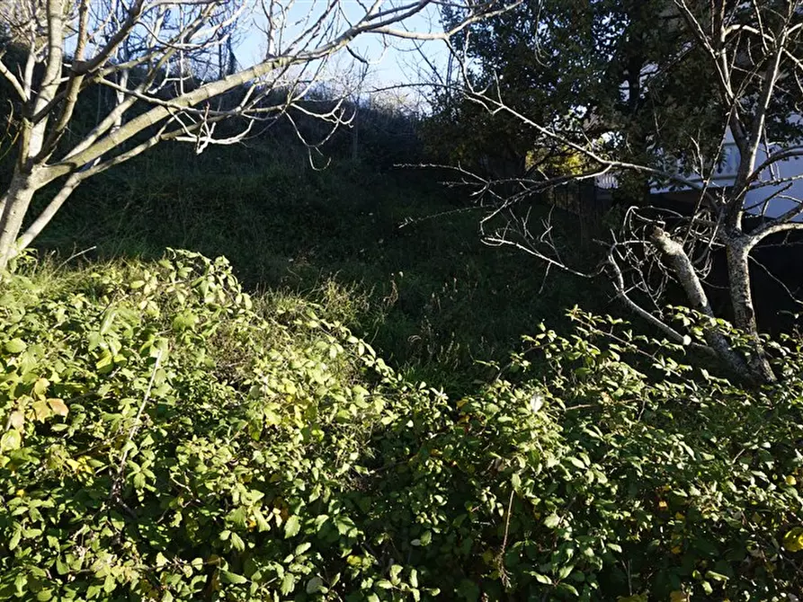 Immagine 8 di Terreno residenziale in vendita  in via Donato  Bendicenti a Casali Del Manco