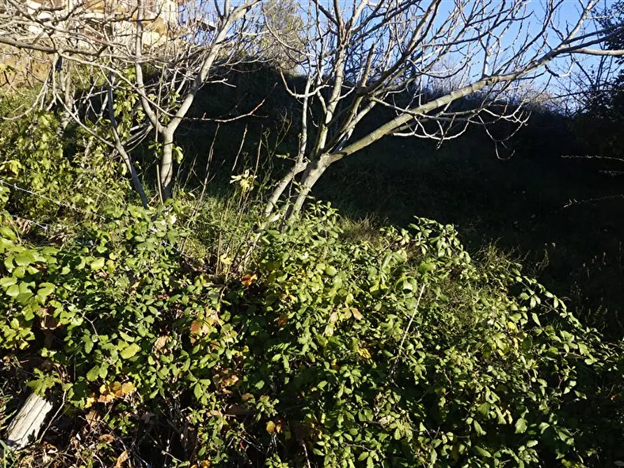 Immagine 6 di Terreno residenziale in vendita  in via Donato  Bendicenti a Casali Del Manco