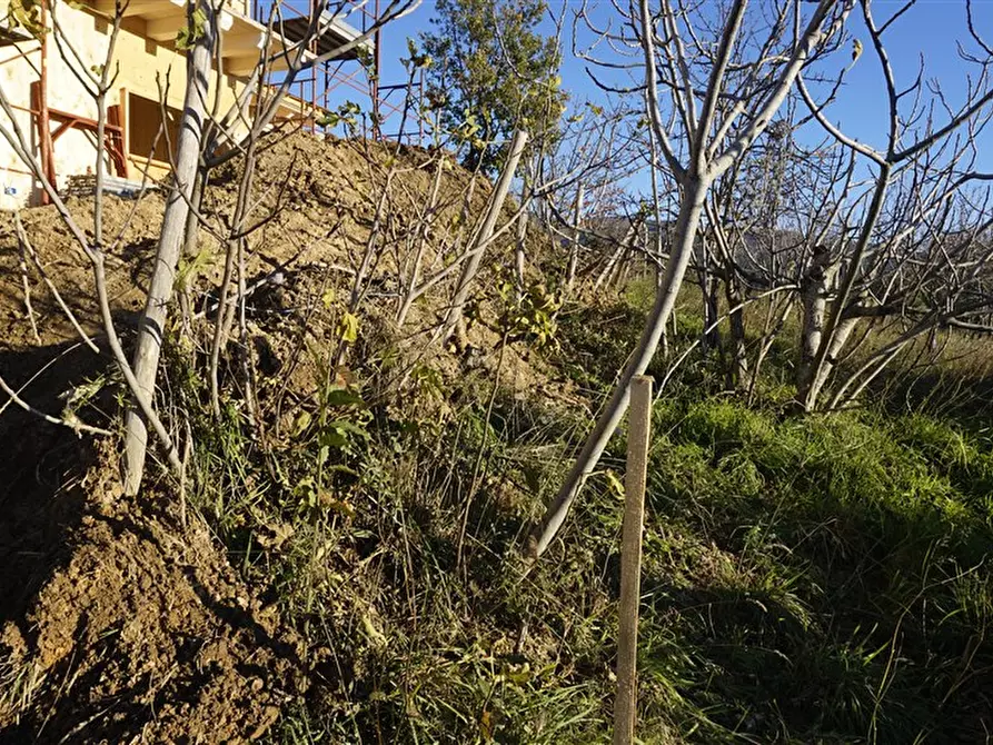 Immagine 3 di Terreno residenziale in vendita  in via Donato  Bendicenti a Casali Del Manco