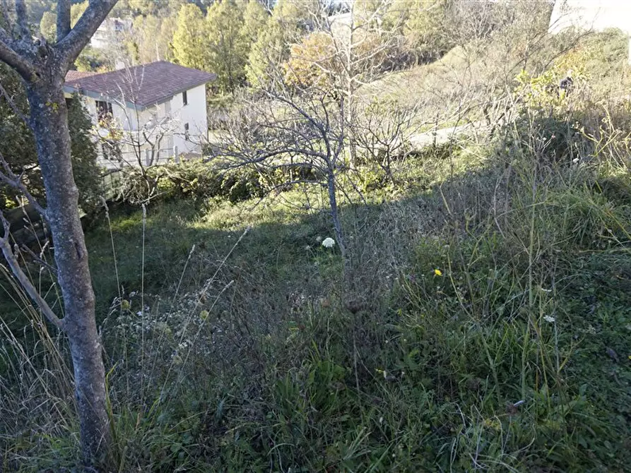 Immagine 7 di Terreno residenziale in vendita  in via Donato  Bendicenti a Casali Del Manco
