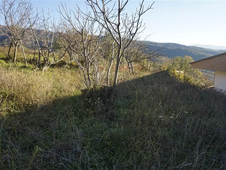 Immagine 2 di Terreno residenziale in vendita  in via Donato  Bendicenti a Casali Del Manco