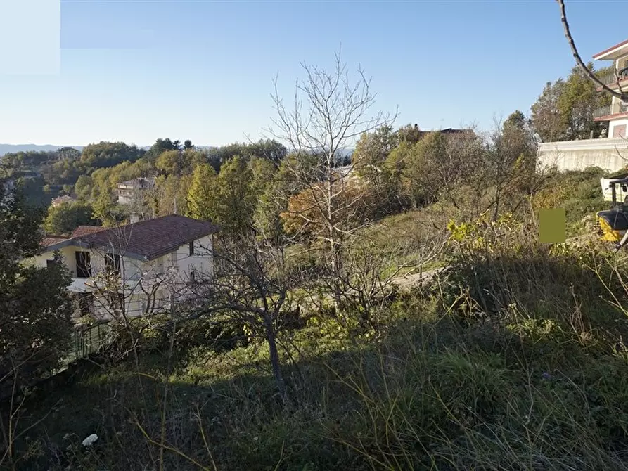 Immagine 10 di Terreno residenziale in vendita  in via Donato  Bendicenti a Casali Del Manco