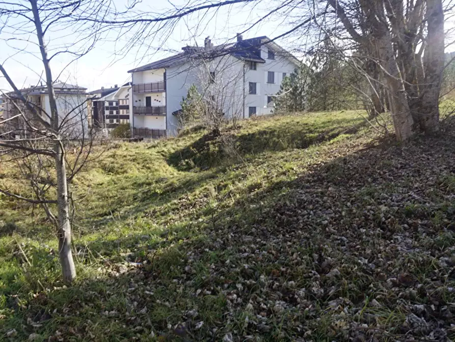 Immagine 6 di Terreno residenziale in vendita  a Spezzano Della Sila