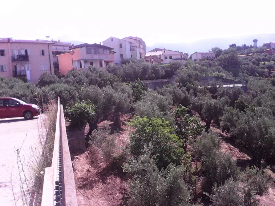 Immagine 2 di Terreno residenziale in vendita  in via roma a Casali Del Manco