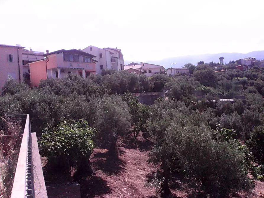 Immagine 3 di Terreno residenziale in vendita  in via roma a Casali Del Manco