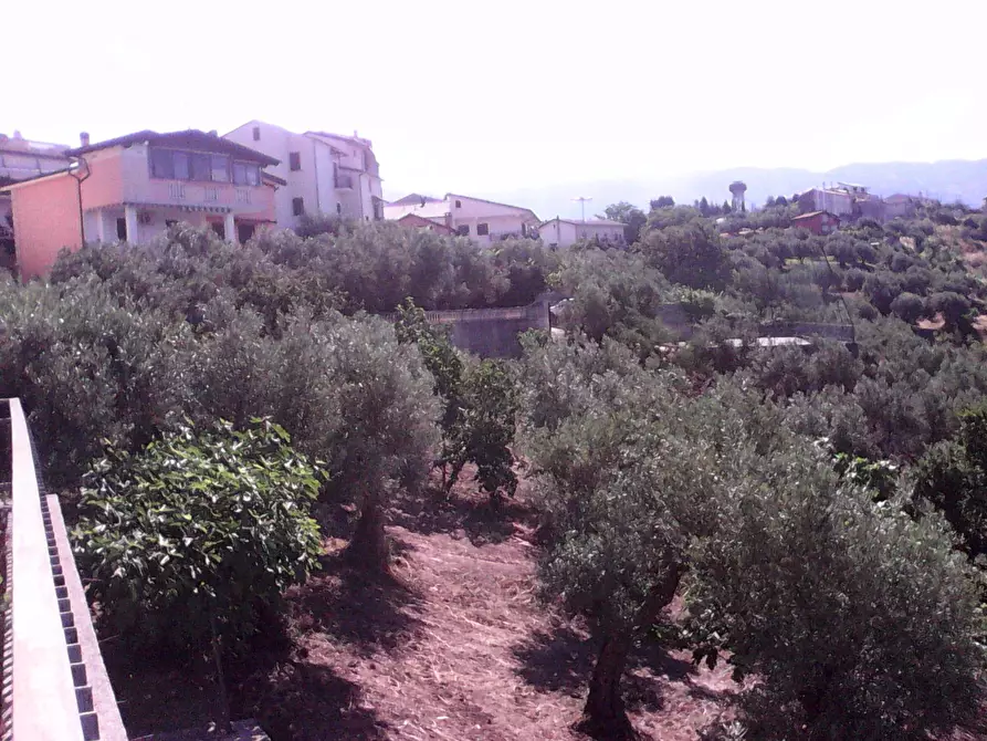 Immagine 4 di Terreno residenziale in vendita  in via roma a Casali Del Manco