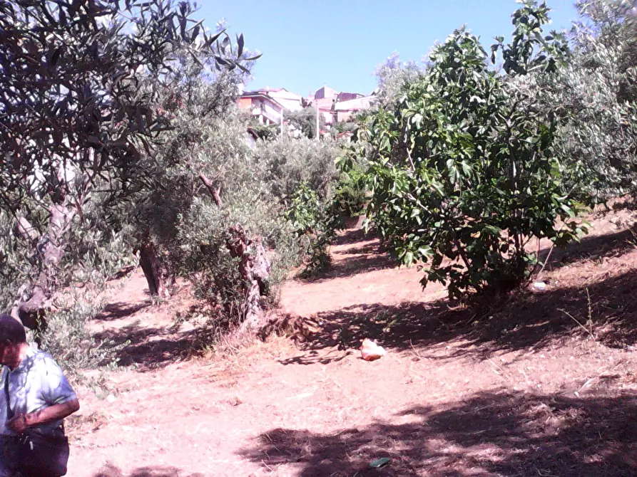 Immagine 9 di Terreno residenziale in vendita  in via roma a Casali Del Manco