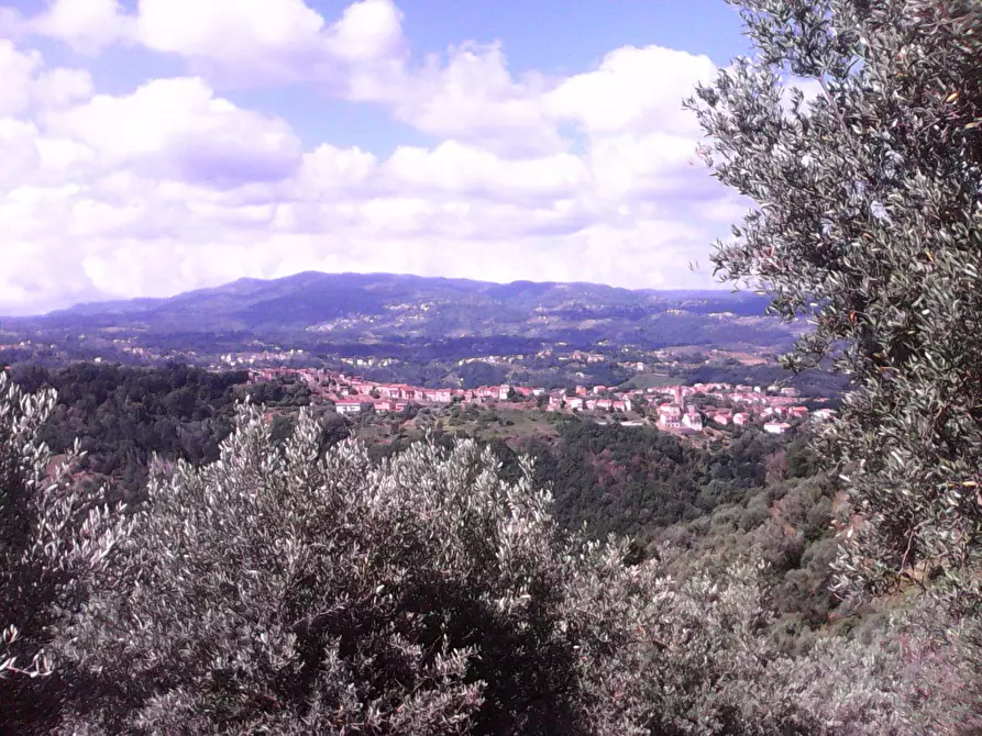 Immagine 11 di Terreno residenziale in vendita  in via roma a Casali Del Manco