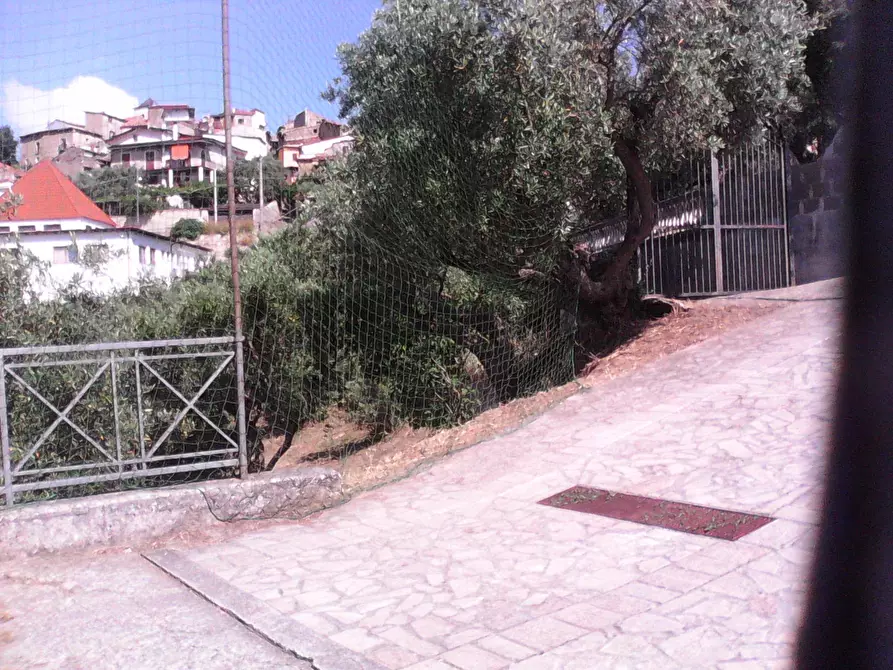 Immagine 14 di Terreno residenziale in vendita  in via roma a Casali Del Manco