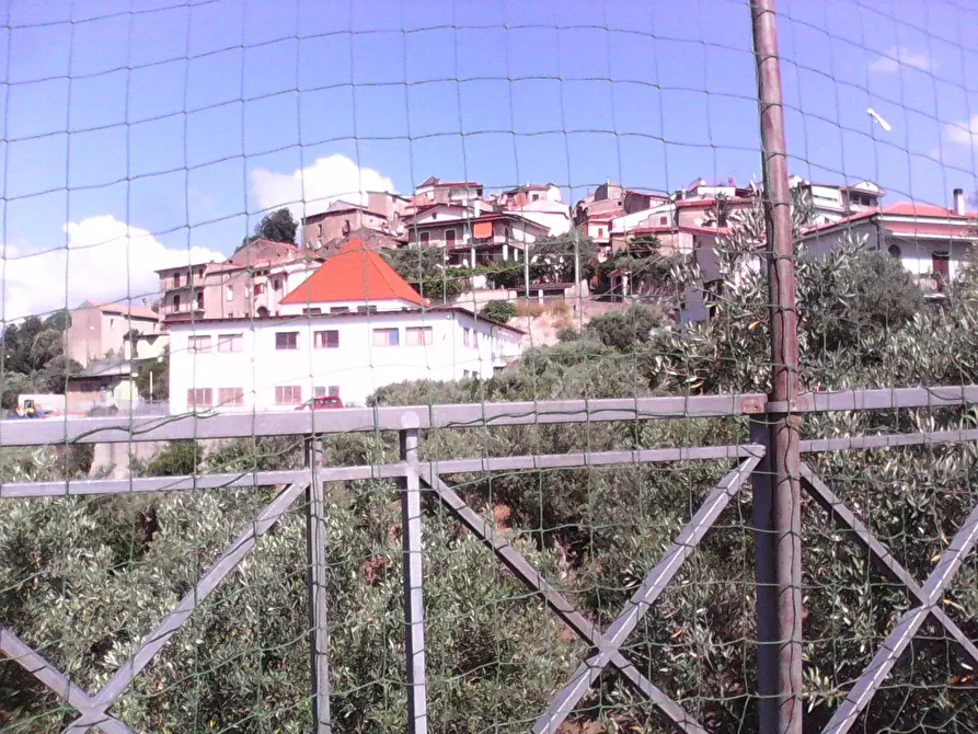 Immagine 15 di Terreno residenziale in vendita  in via roma a Casali Del Manco