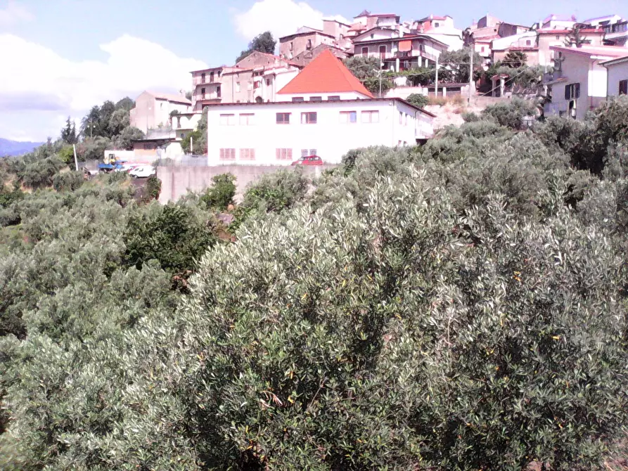 Immagine 17 di Terreno residenziale in vendita  in via roma a Casali Del Manco