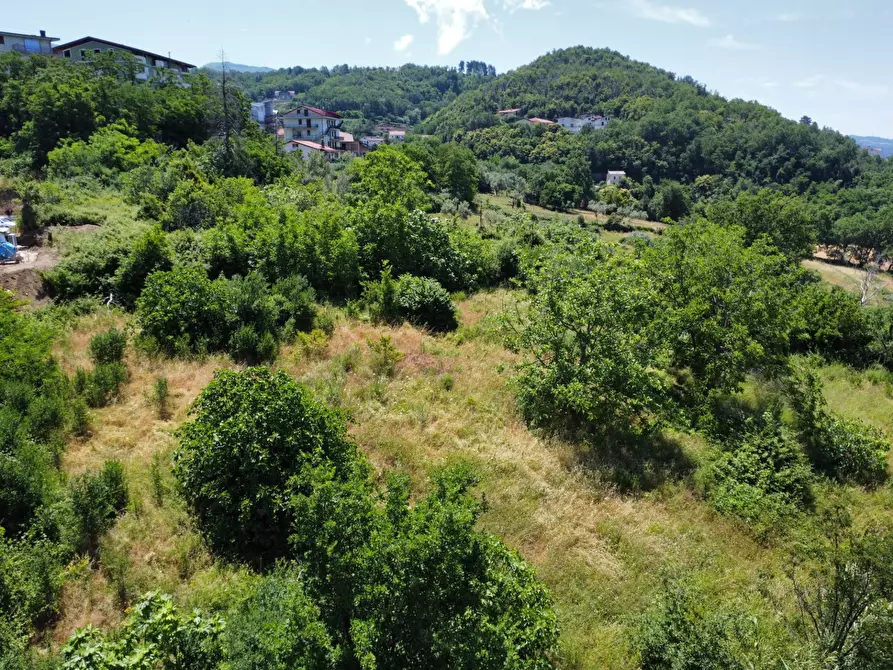 Immagine 2 di Terreno residenziale in vendita  in via Oscar cavaliere a Casali Del Manco
