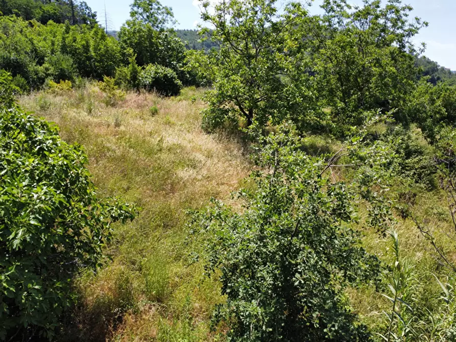 Immagine 12 di Terreno residenziale in vendita  in via Oscar cavaliere a Casali Del Manco