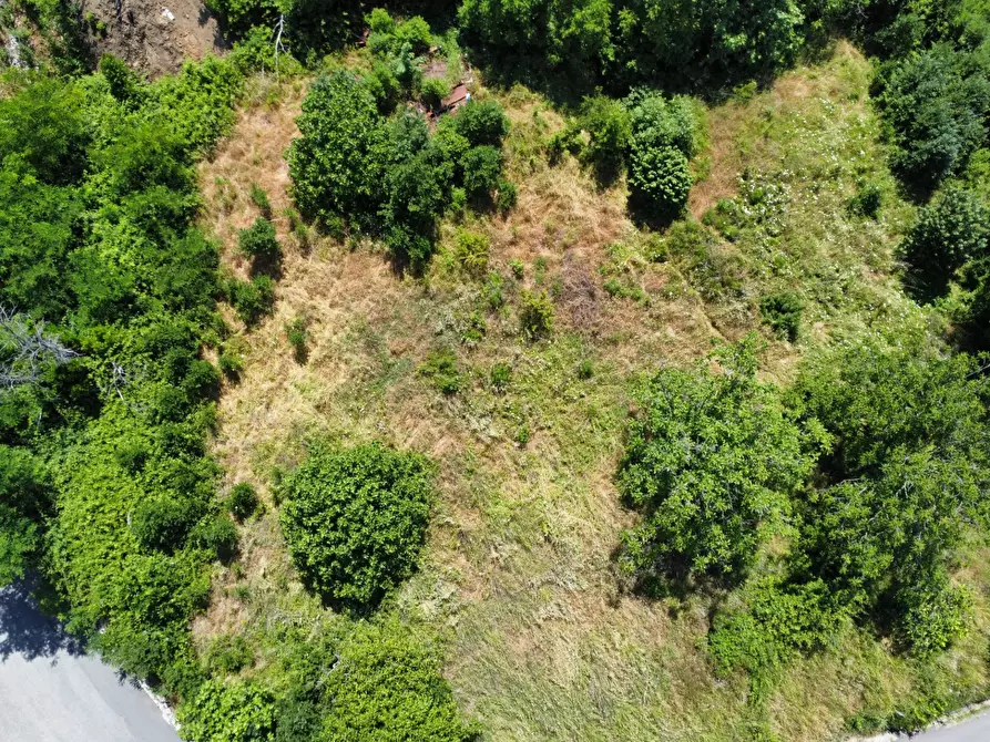 Immagine 13 di Terreno residenziale in vendita  in via Oscar cavaliere a Casali Del Manco