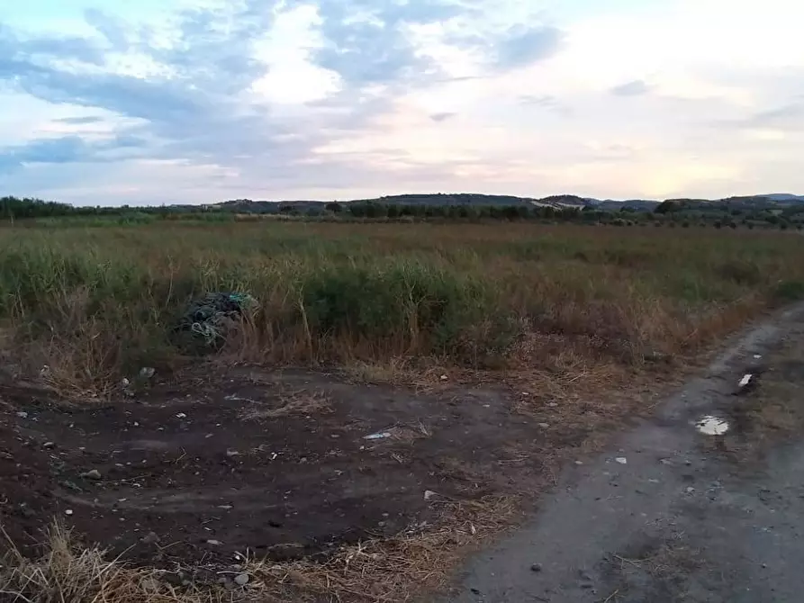 Immagine 2 di Terreno agricolo in vendita  in Contrada Zolfara a Corigliano-Rossano