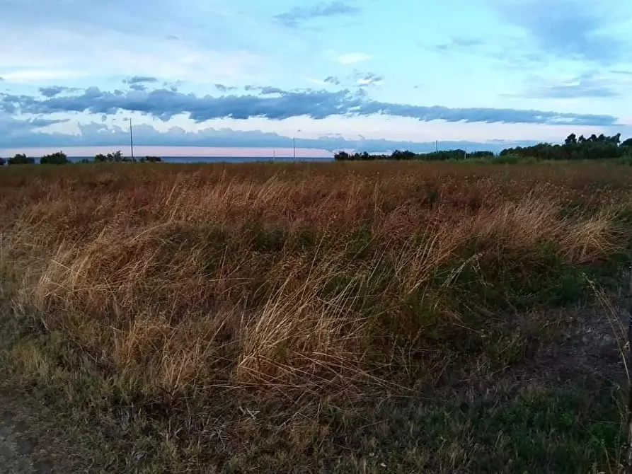 Immagine 3 di Terreno agricolo in vendita  in Contrada Zolfara a Corigliano-Rossano
