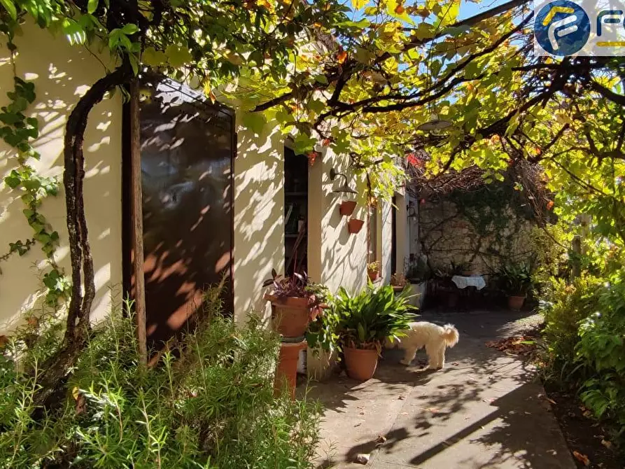 Immagine 12 di Appartamento in vendita  in via giorgetti a Barga