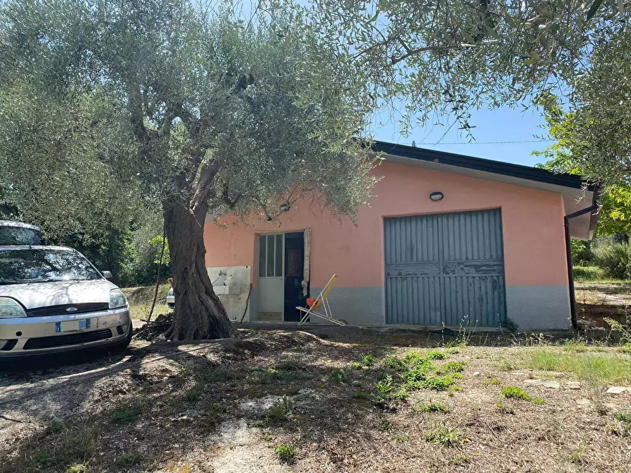 Immagine 3 di Casa indipendente in vendita  in via vicinale a Buccino