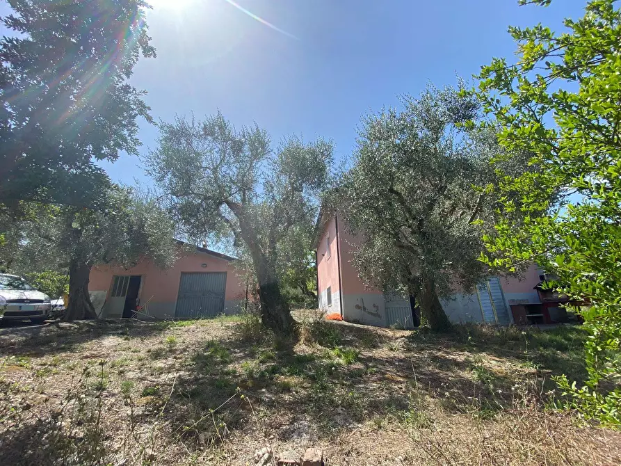 Immagine 9 di Casa indipendente in vendita  in via vicinale a Buccino