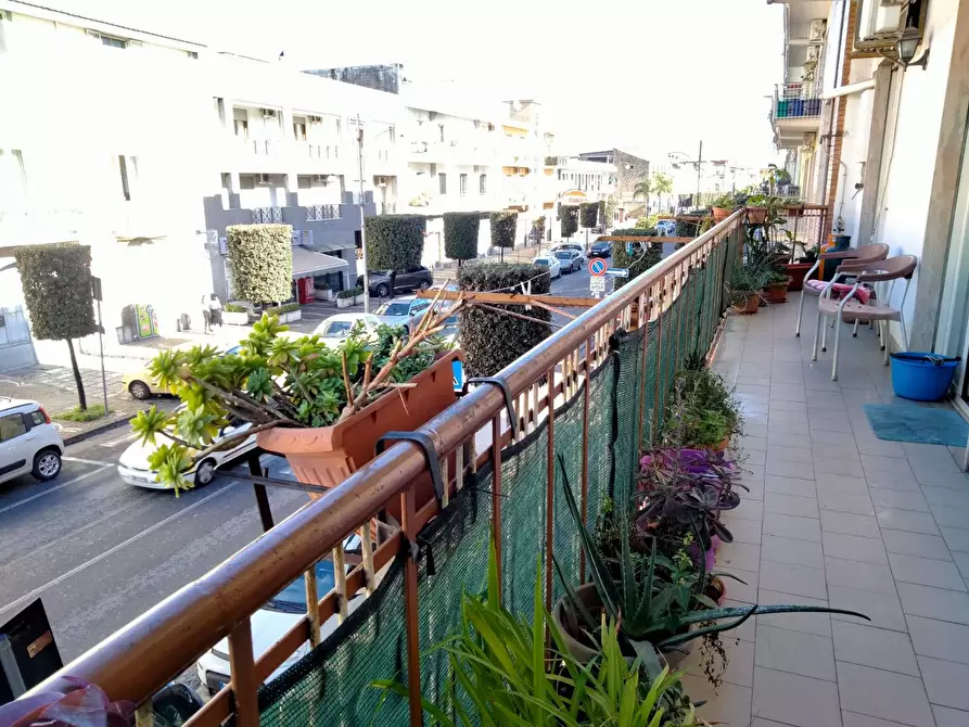 Immagine 5 di Appartamento in vendita  a Brusciano