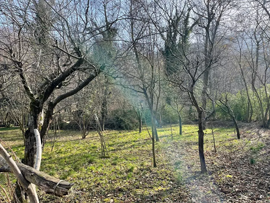 Immagine 7 di Casa indipendente in vendita  in STRADA PIANCA a Trana