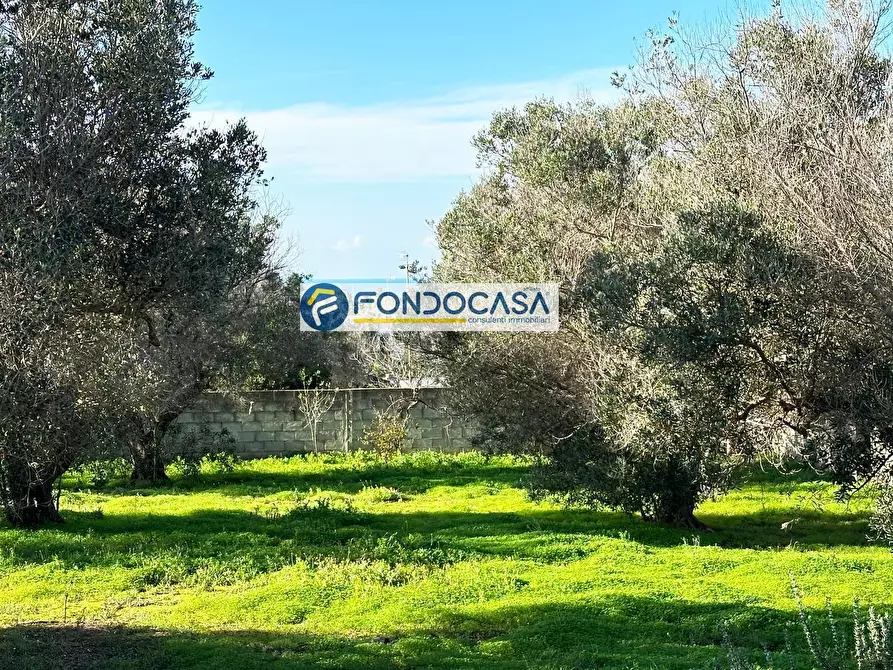 Immagine 16 di Villa in vendita  in LOCALITA' PENDINELLO a Nardo'