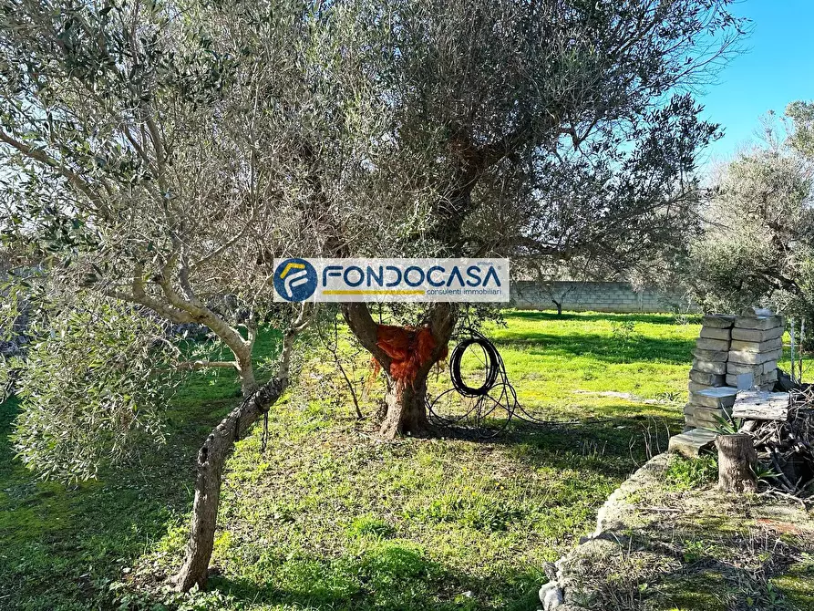 Immagine 18 di Villa in vendita  in LOCALITA' PENDINELLO a Nardo'