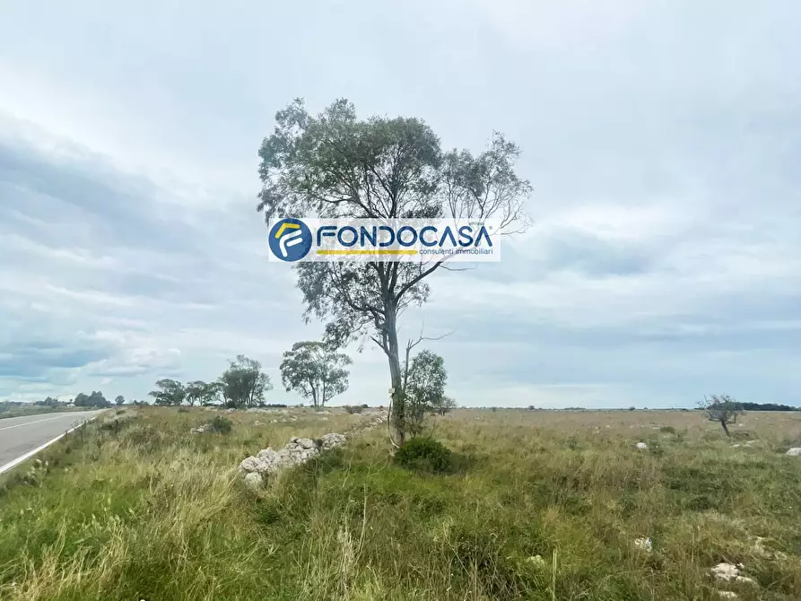 Immagine 2 di Terreno industriale in vendita  in SP 298 a Lecce