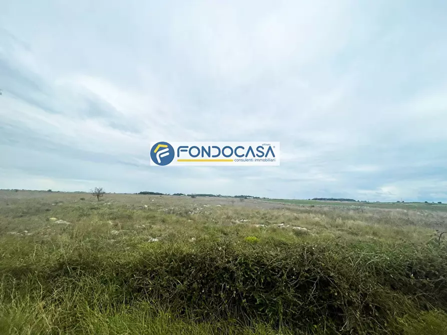Immagine 3 di Terreno industriale in vendita  in SP 298 a Lecce