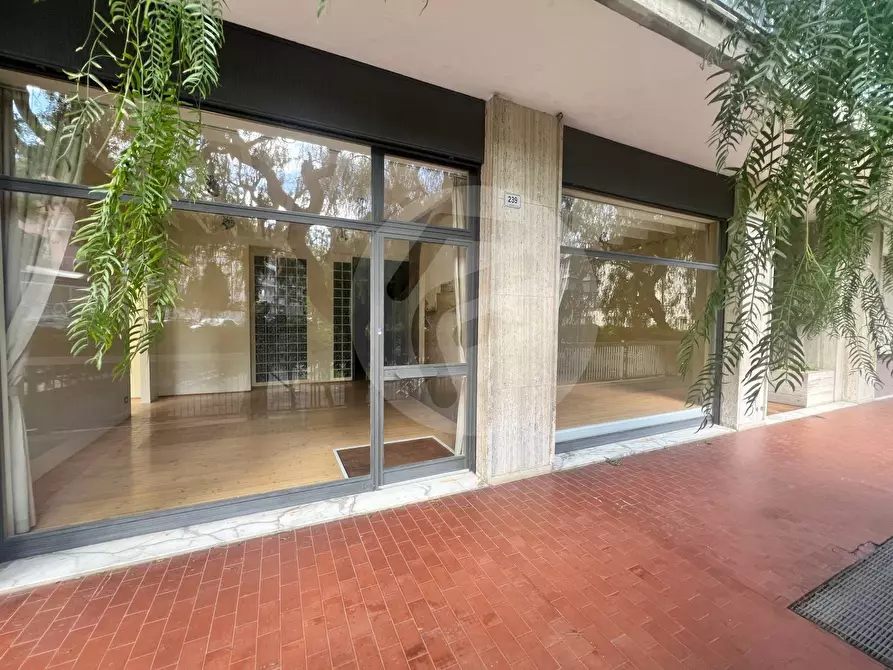 Immagine 13 di Attività commerciale in vendita  a Alassio