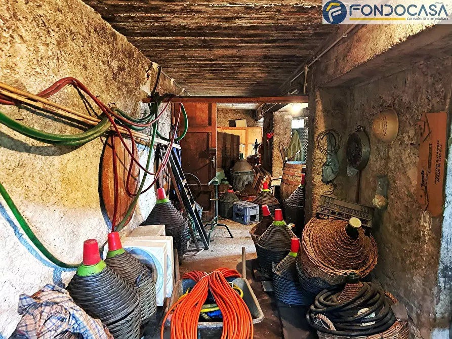 Immagine 25 di Villa in vendita  in via risciolo a Pietrasanta