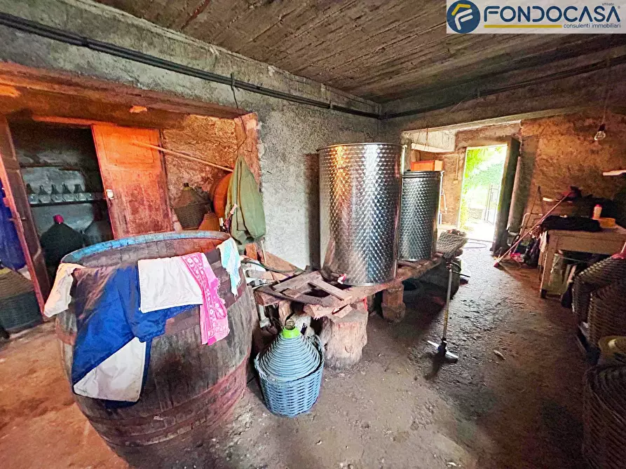 Immagine 26 di Villa in vendita  in via risciolo a Pietrasanta