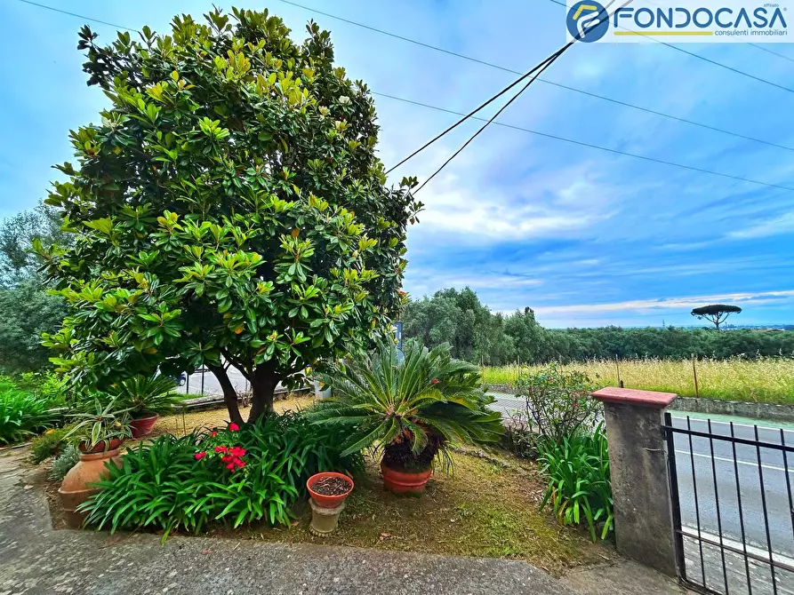 Immagine 30 di Villa in vendita  in via risciolo a Pietrasanta