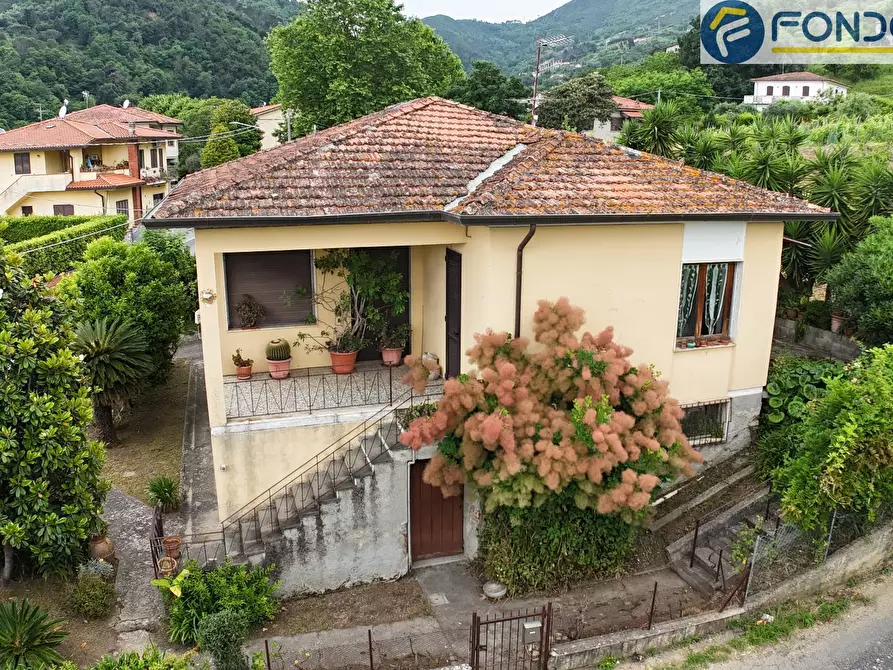 Immagine 2 di Villa in vendita  in via risciolo a Pietrasanta