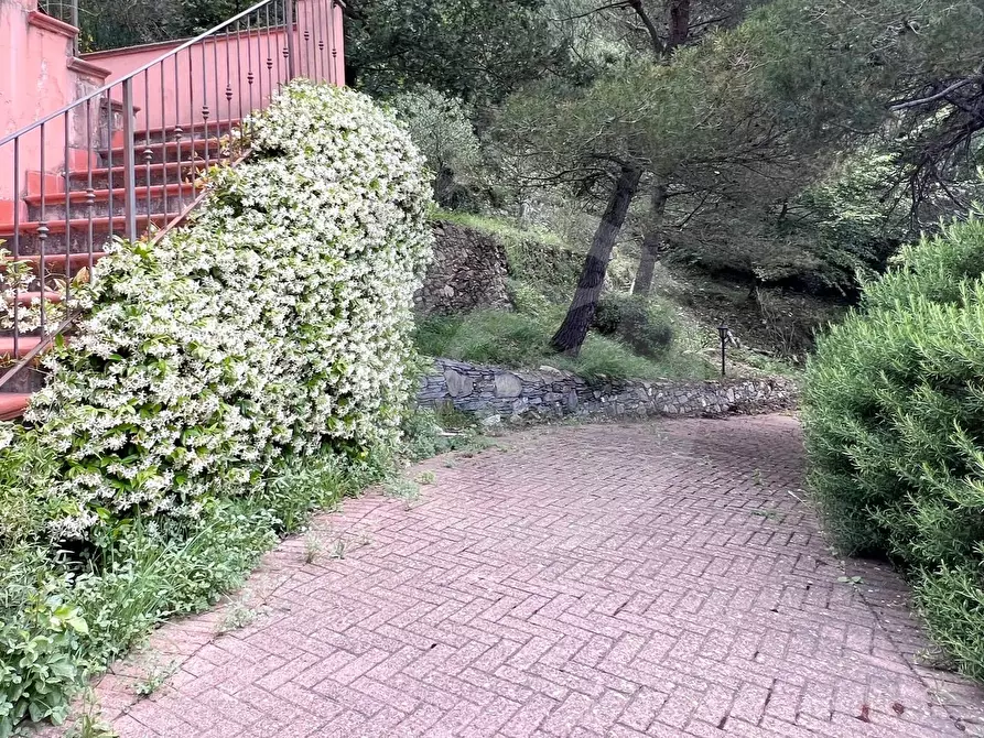 Immagine 24 di Villa in vendita  in strada panoramica solva -cavia a Alassio