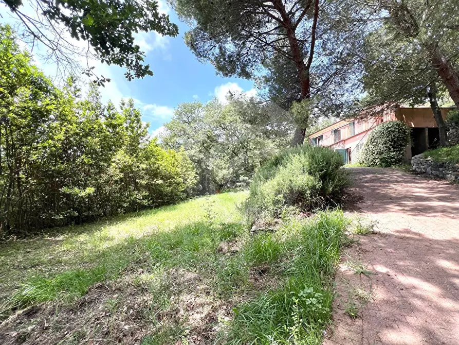 Immagine 25 di Villa in vendita  in strada panoramica solva -cavia a Alassio