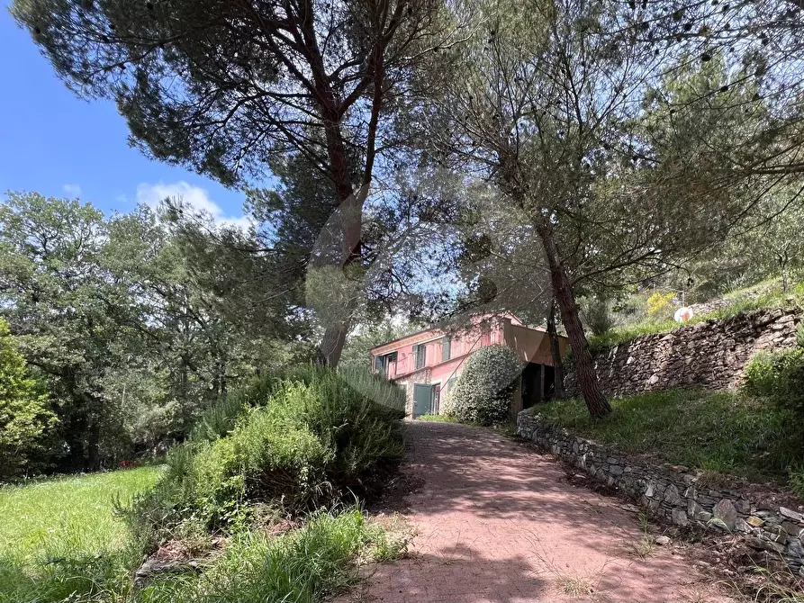 Immagine 26 di Villa in vendita  in strada panoramica solva -cavia a Alassio