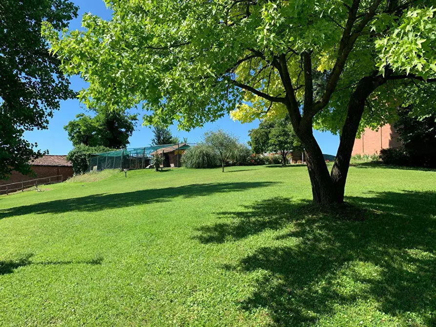 Immagine 6 di Azienda agricola in vendita  in località mombarone a Asti