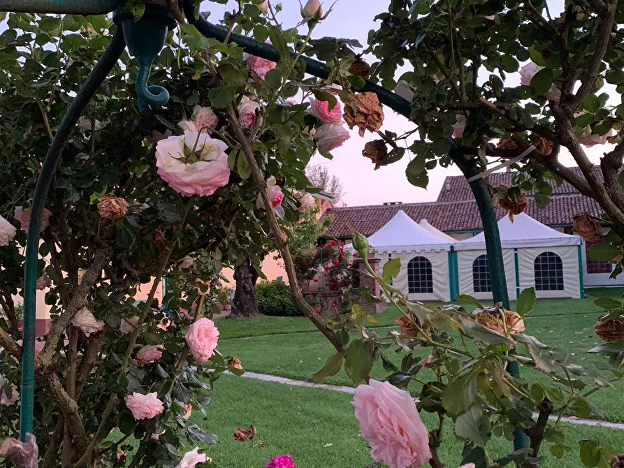 Immagine 15 di Azienda agricola in vendita  in località mombarone a Asti