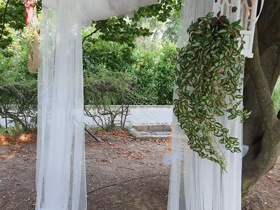 Immagine 30 di Azienda agricola in vendita  in località mombarone a Asti