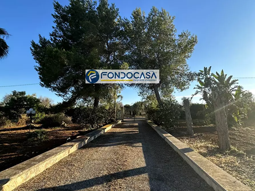 Immagine 2 di Villa in vendita  in Contrada Zambardo a San Vito Dei Normanni