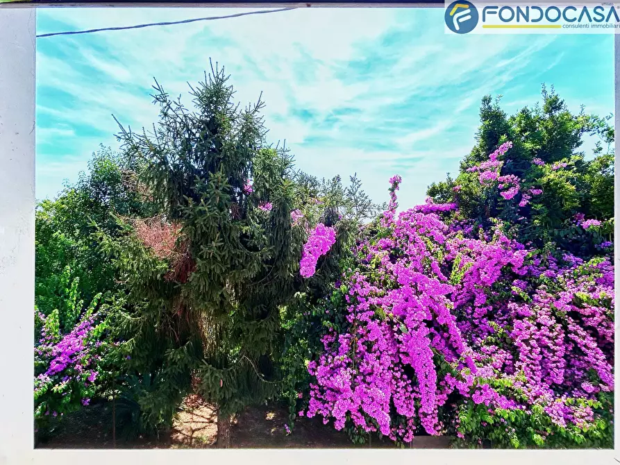 Immagine 19 di Villa in vendita  in via della quercia a Pietrasanta