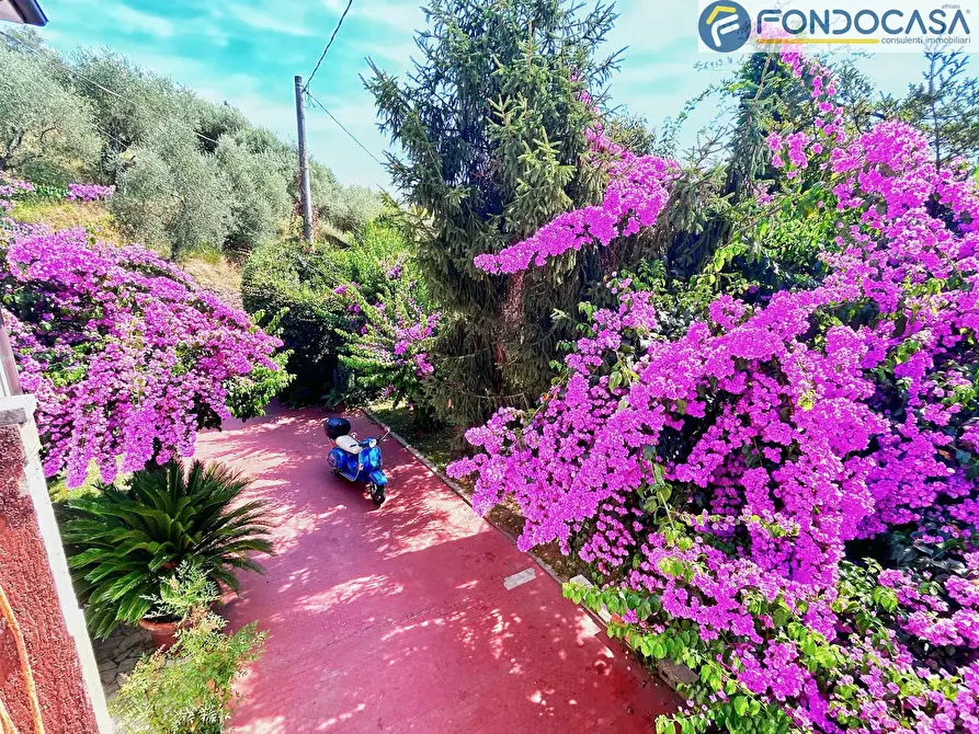 Immagine 2 di Villa in vendita  in via della quercia a Pietrasanta