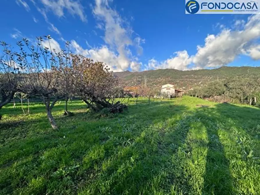 Immagine 30 di Villa in vendita  in via fonda a Pietrasanta