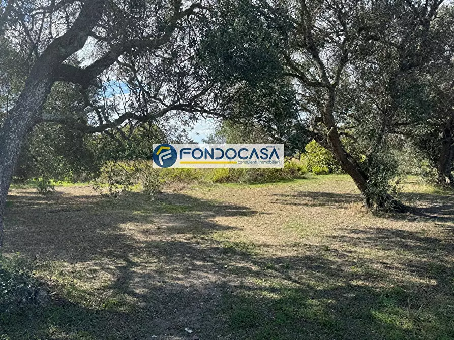 Immagine 1 di Terreno industriale in vendita  in Via degli oleandri a Brindisi